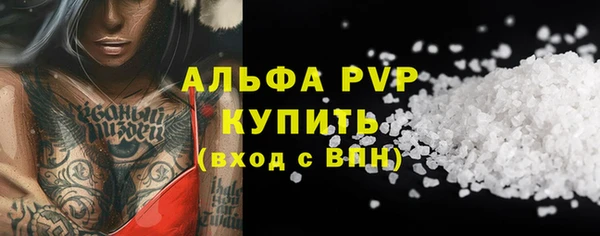 индика Белоозёрский