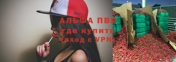 индика Белоозёрский