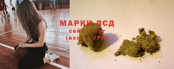 спайс Беломорск