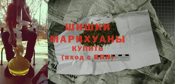 индика Белоозёрский