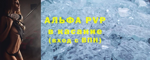 индика Белоозёрский