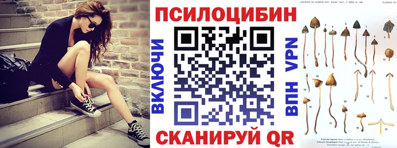 Псилоцибиновые грибы мицелий  Радужный 